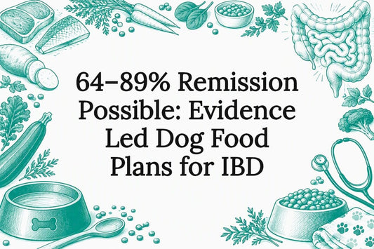 Decorative canine IBD food plan title card