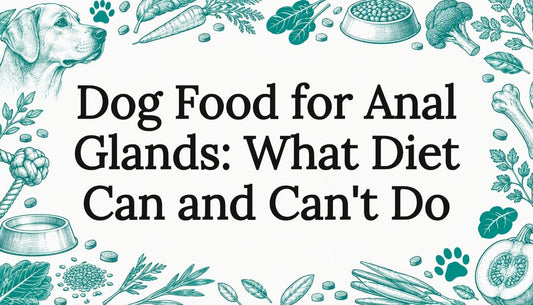 Hand-drawn dog and nutrition title card