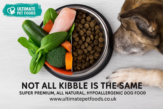 Pea Protein in Dog Food Kibble