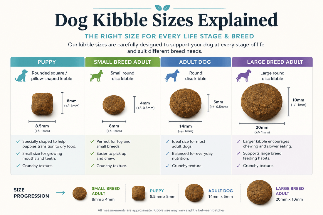 Why Kibble Size Matters | Small, Medium & Large Breed Dog Food