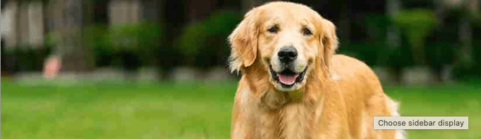 Success Story: How Ultimate+ Weight Control & Joint Care Helped Max Mo