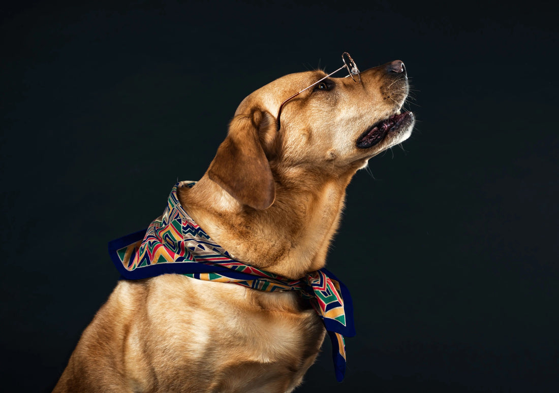 We-Asked-AI-Are-Our-Recipes-In-Our-New-Range-of-Ultimate-Indeed-Natural-See-the-reply... Ultimate Pet Foods