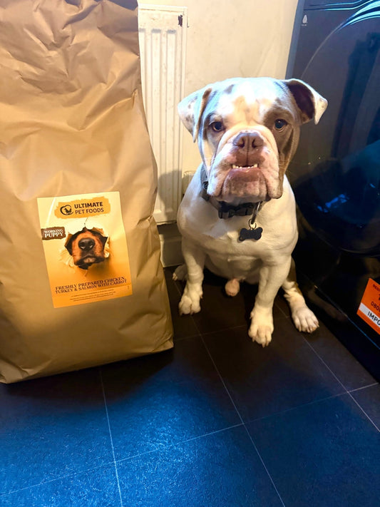 Case Study: Grain Free Range