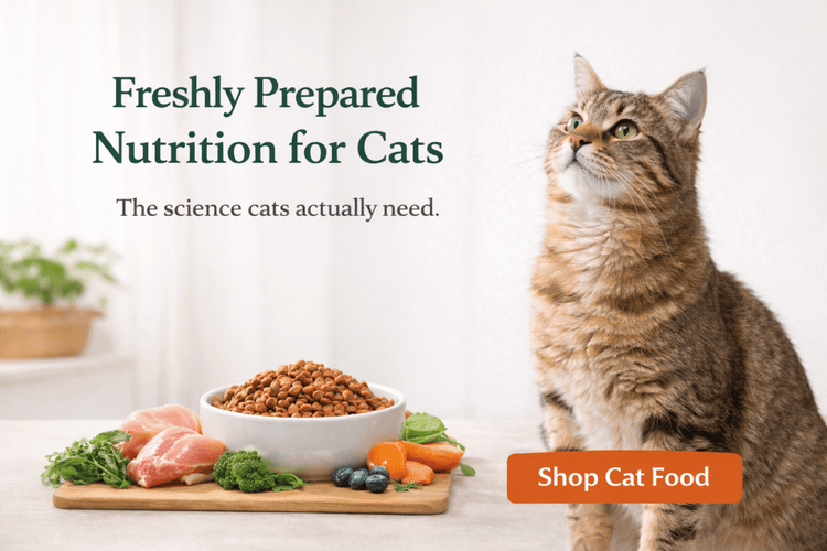 Hydrolysed Cat Food - Grain Free Cat Food