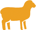 Lamb Dog Food UK — Grain Free Freshly Prepared Lamb