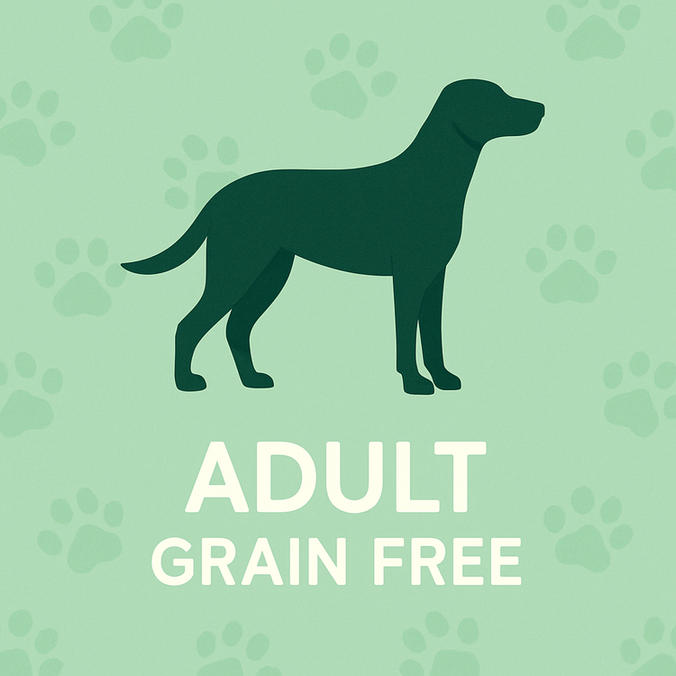 Grain Free Dry Dog Food for Adult Dogs
