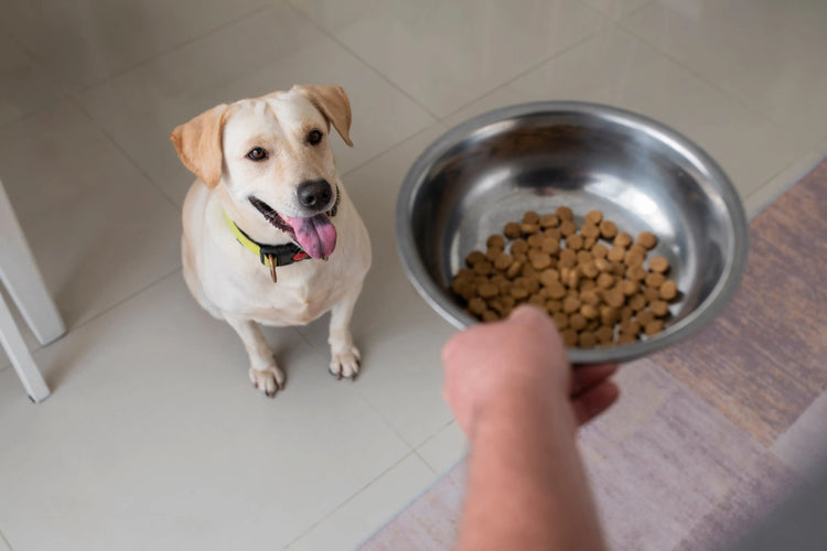 Hydrolysed Dog Food From Ultimate Pet Foods using Hydrolysed Proteins.