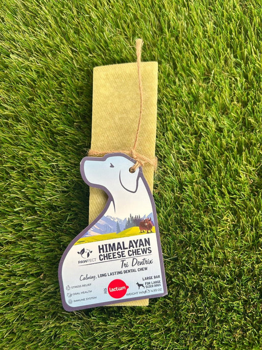 Pawfect Himalayan Cheese Chews Tri Dentrix dental dog chew