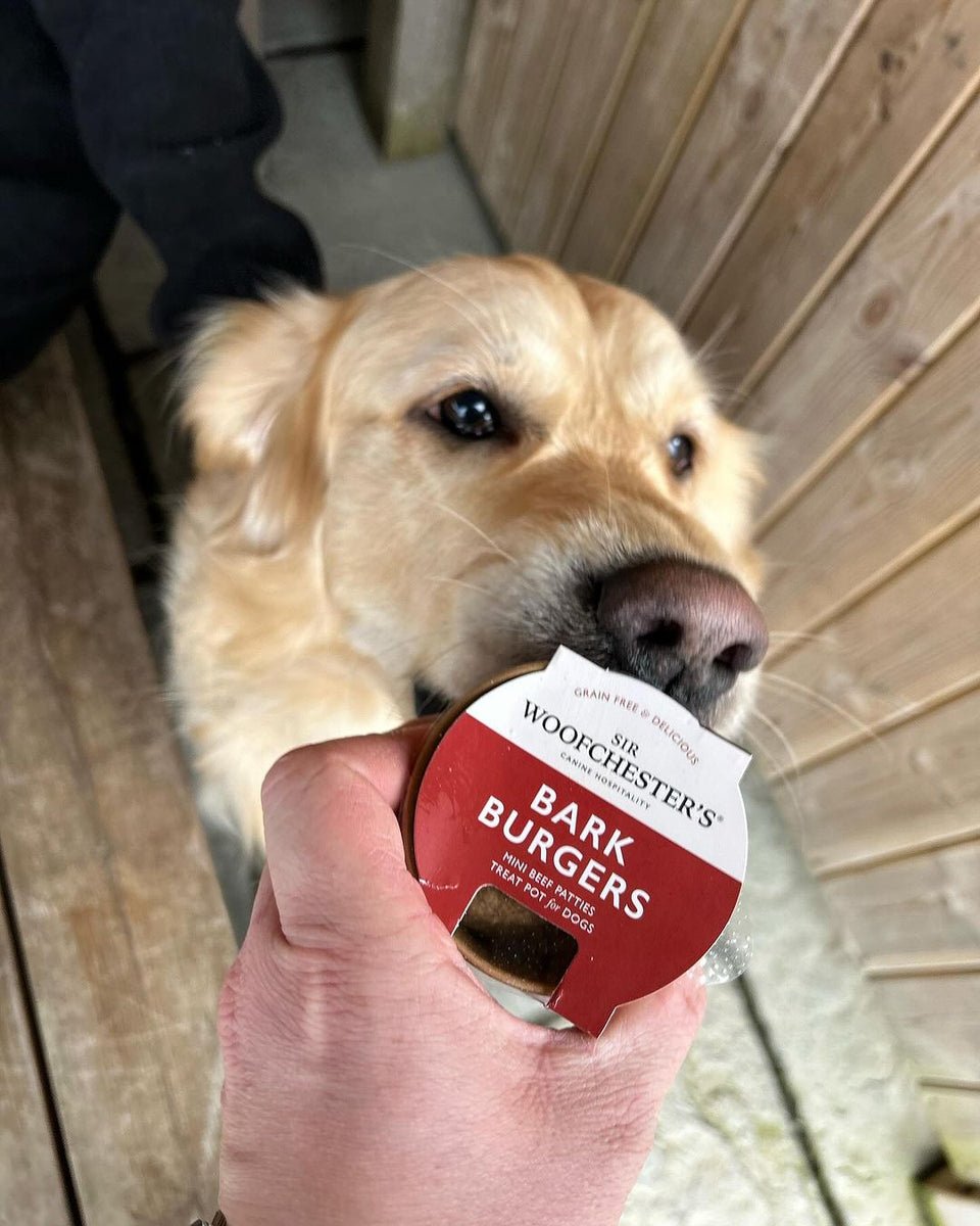 Sir Woofchester's Bark Burgers lifestyle shot
