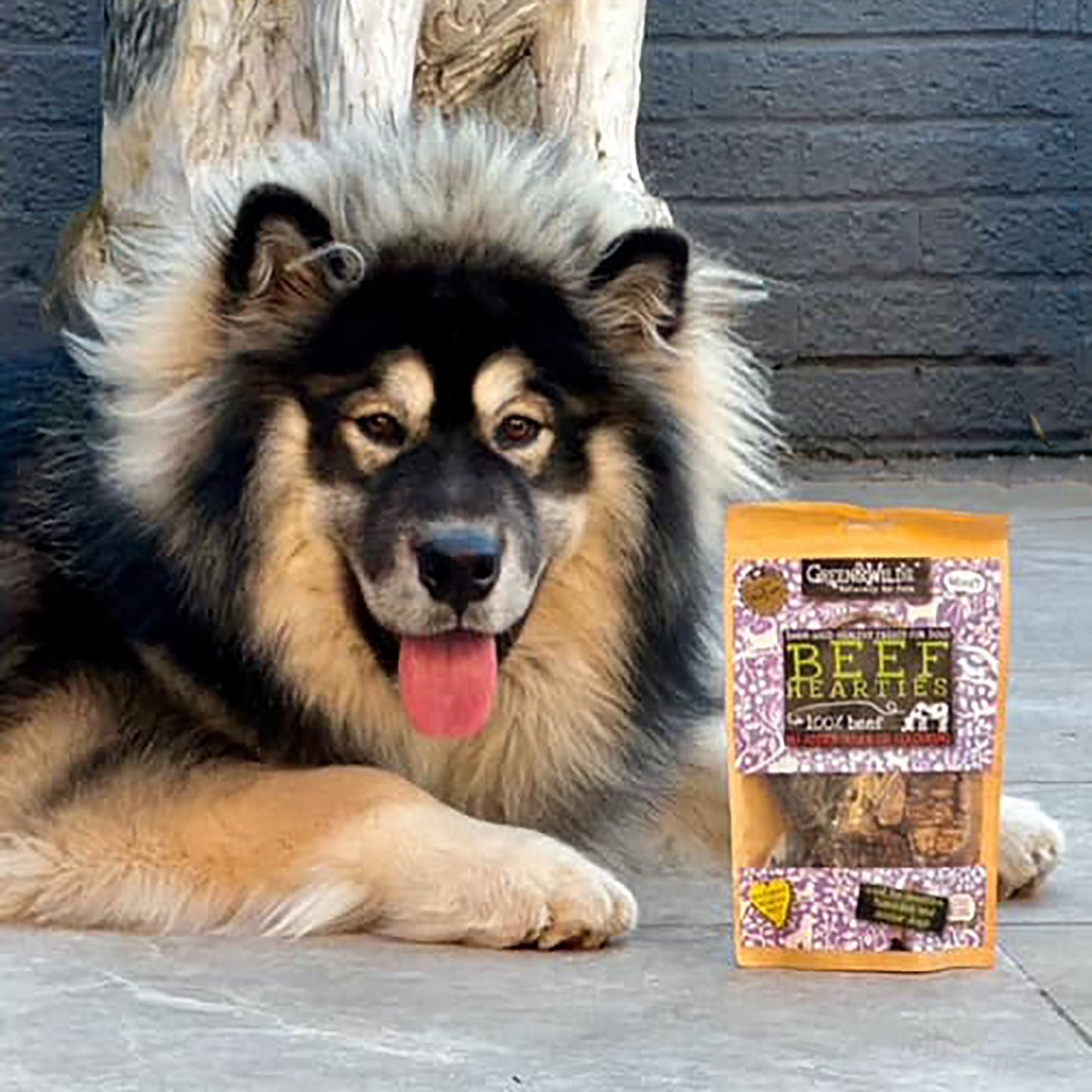 Dog enjoying Beef Hearties treats