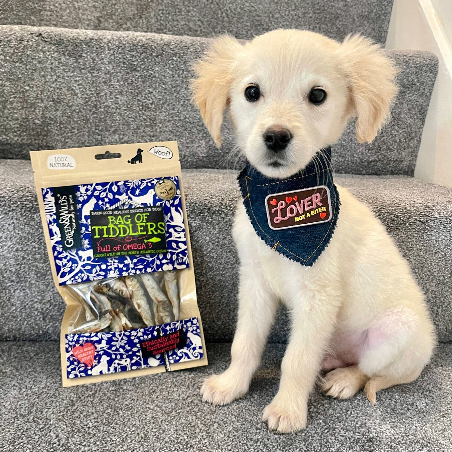 Dog enjoying Green and Wilds Tiddlers fish treats