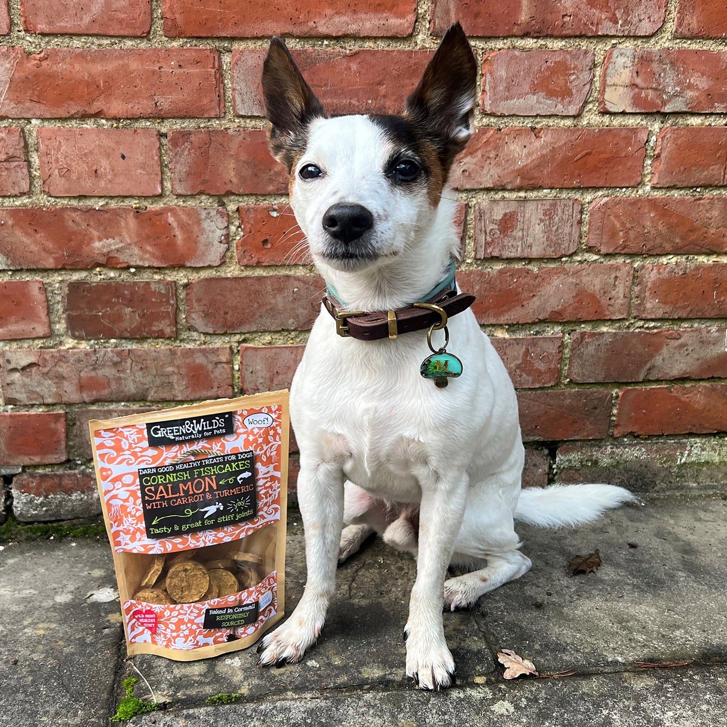 Dog enjoying Green and Wilds Cornish Fishcakes with Turmeric
