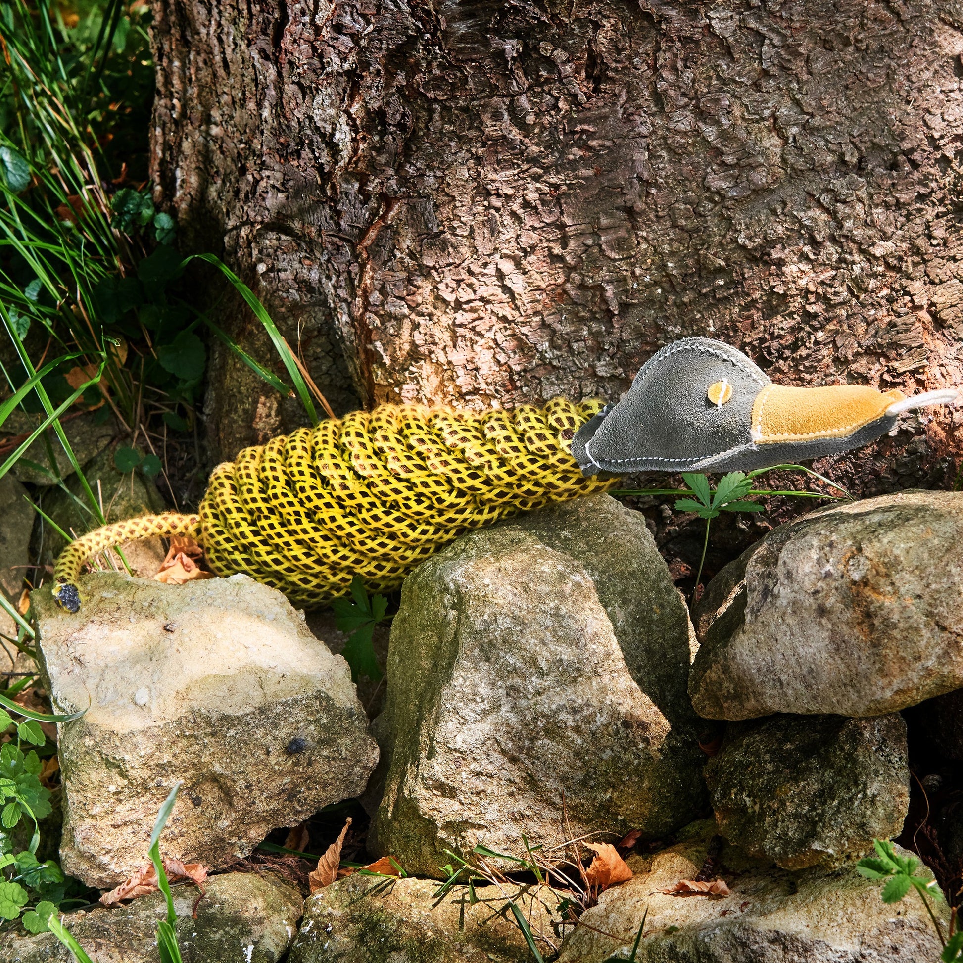 Delilah the Duckess eco toy outdoors