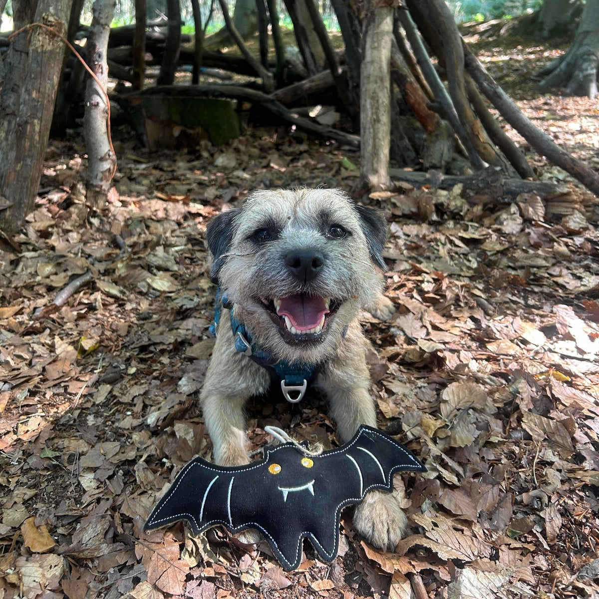 Dog with Green & Wilds Count Batula toy