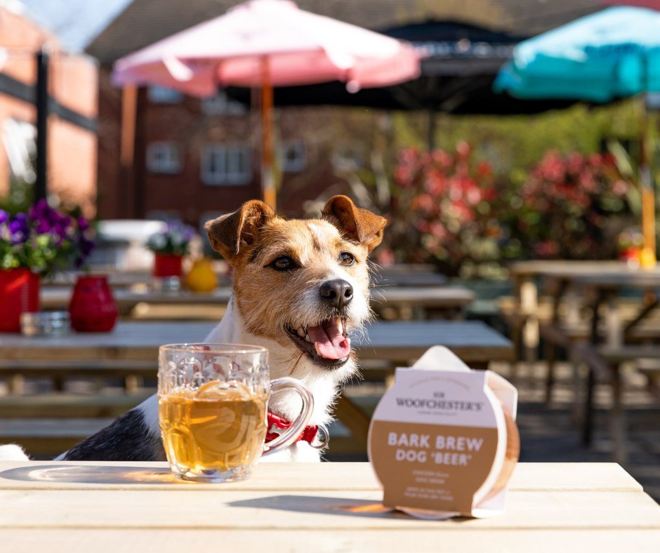 Sir Woofchester's Bark Brew - Made in Britain