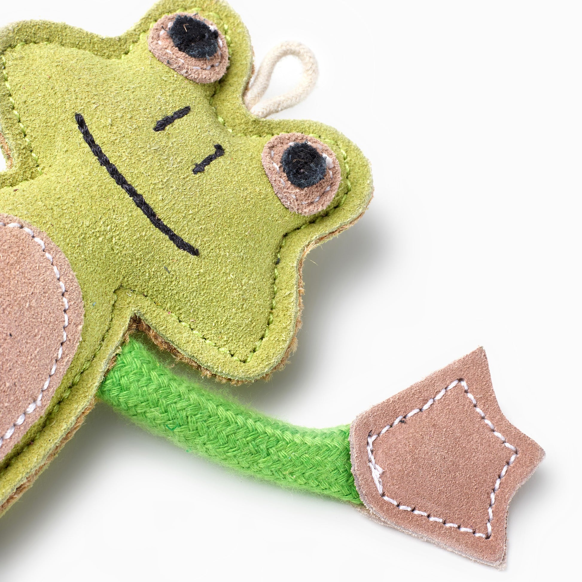 Francois Le Frog eco dog toy close up