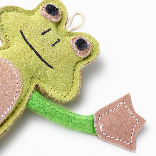 Francois Le Frog eco dog toy close up