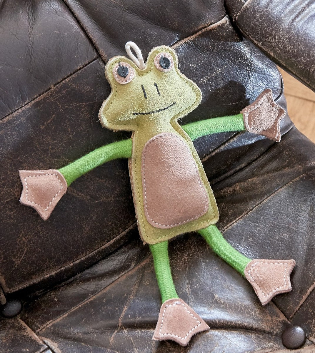 Francois Le Frog in chair