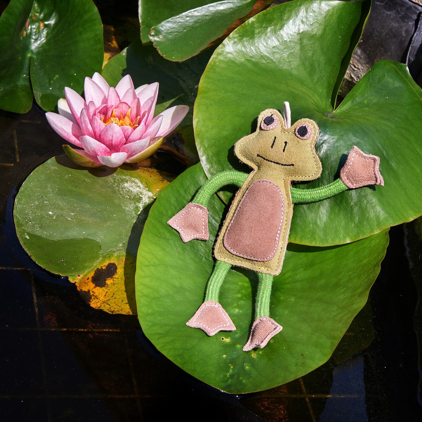 Francois Le Frog on lily pad