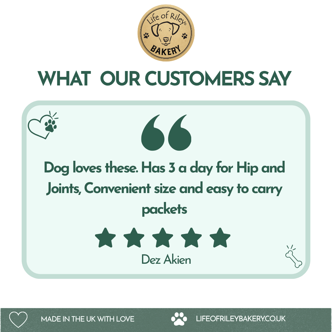 Hip & Joint Bones lifestyle shot