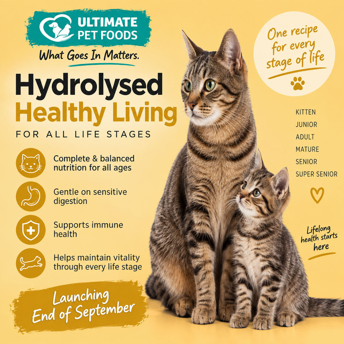 Hydrolysed Healthy Living Cat Food - All Life Stages Kitten to Senior - Grain Free - Ultimate Pet Foods
