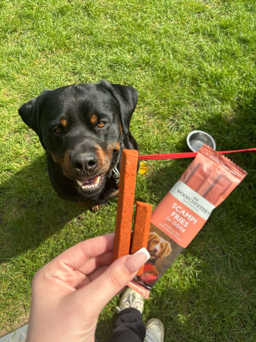 Sir Woofchester's Scampi Fries lifestyle shot