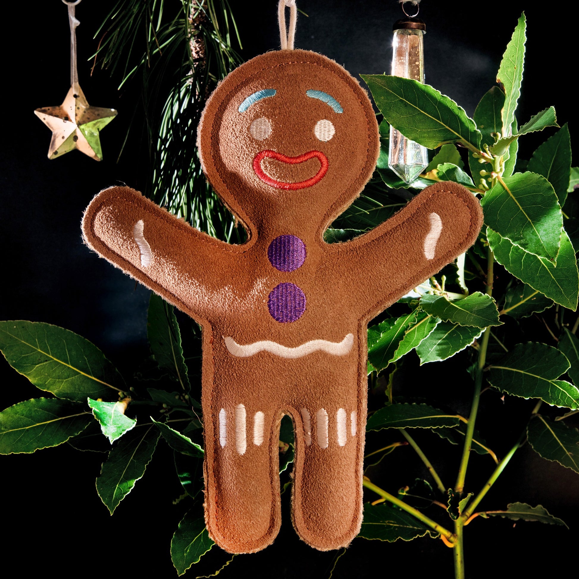 Jean Genie toy in Christmas tree