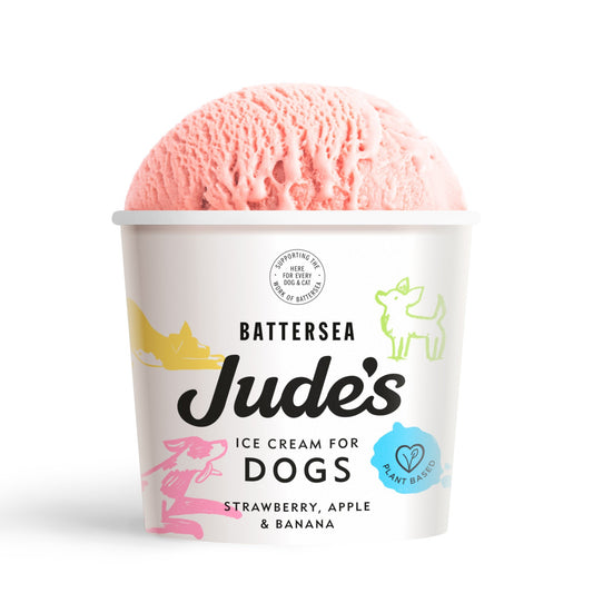 Jude's Ice Cream for Dogs - Strawberry Apple and Banana flavour 90ml cup