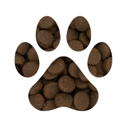Large Breed Dog Food - Grain Free - Gut Friendly - with Prebiotics 