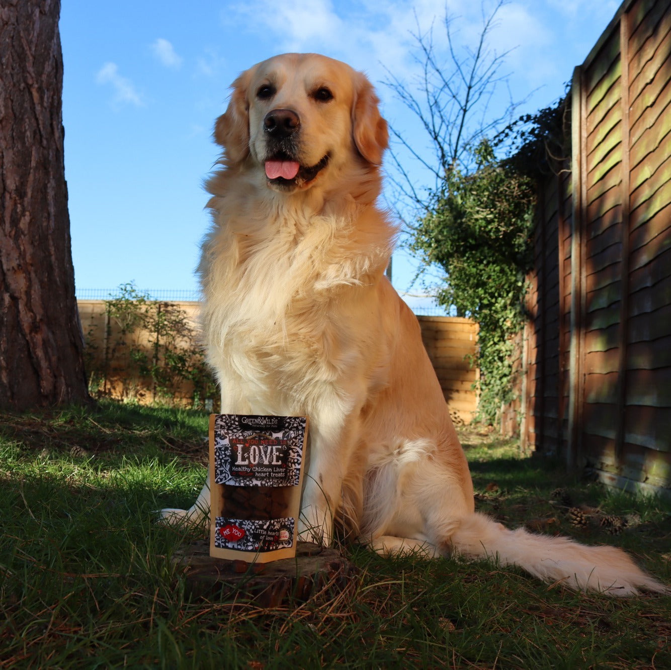 Dog enjoying Green and Wilds Love Treats outside