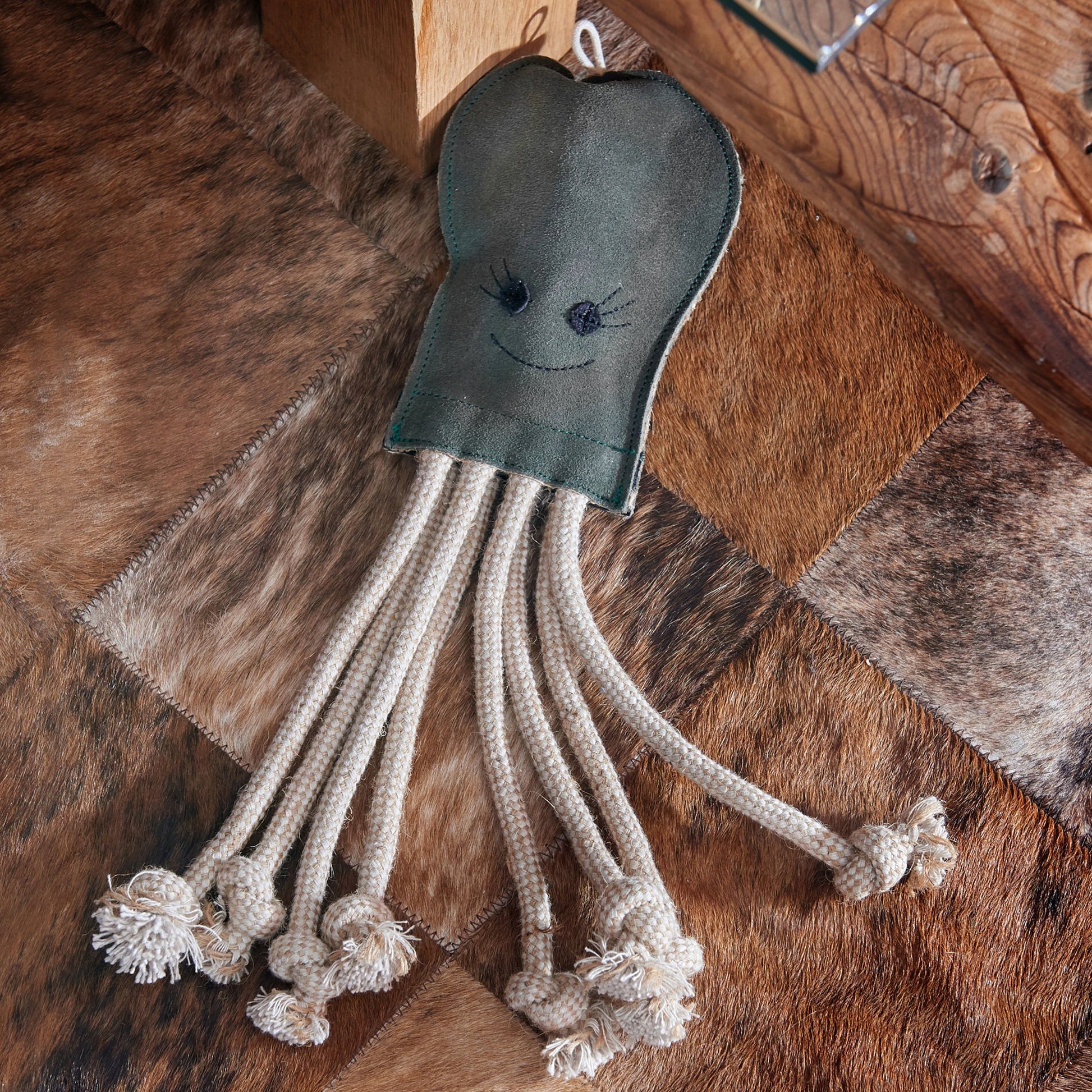 Olive the Octopus on rug