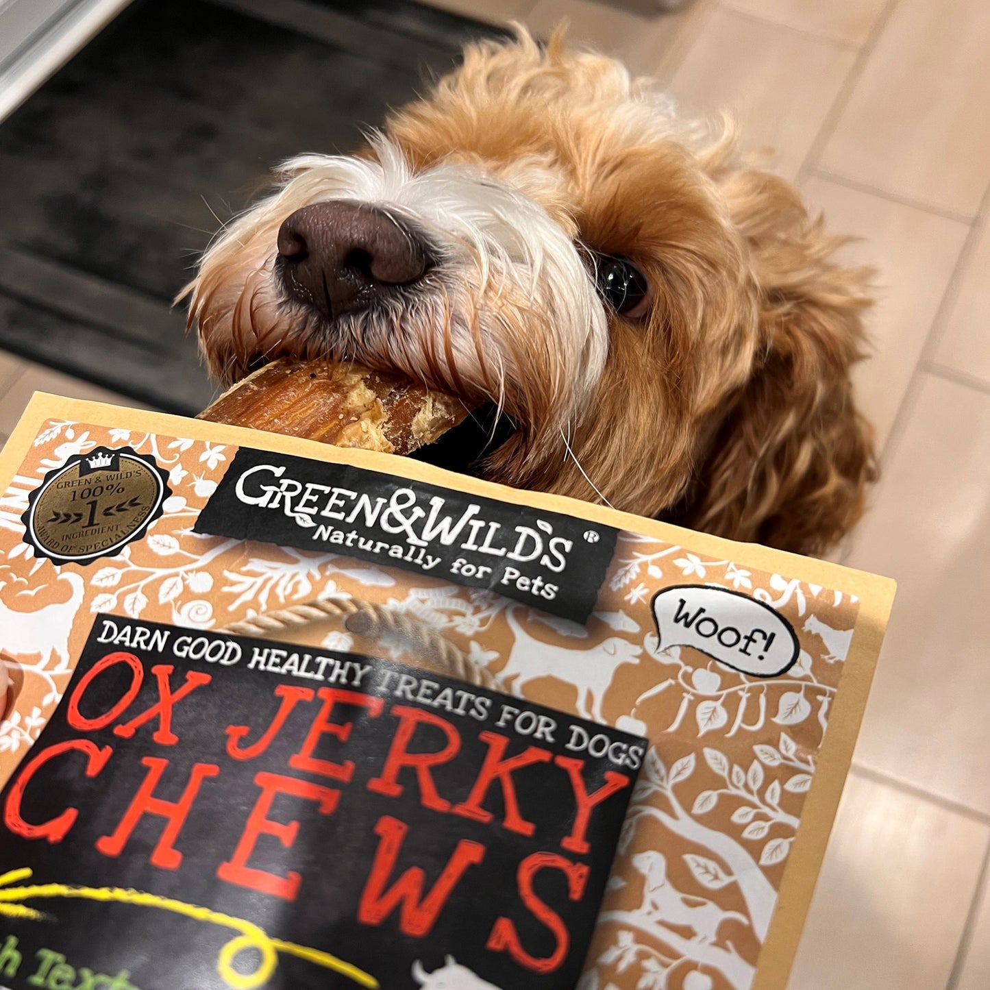 Dog enjoying Ox Jerky Chews