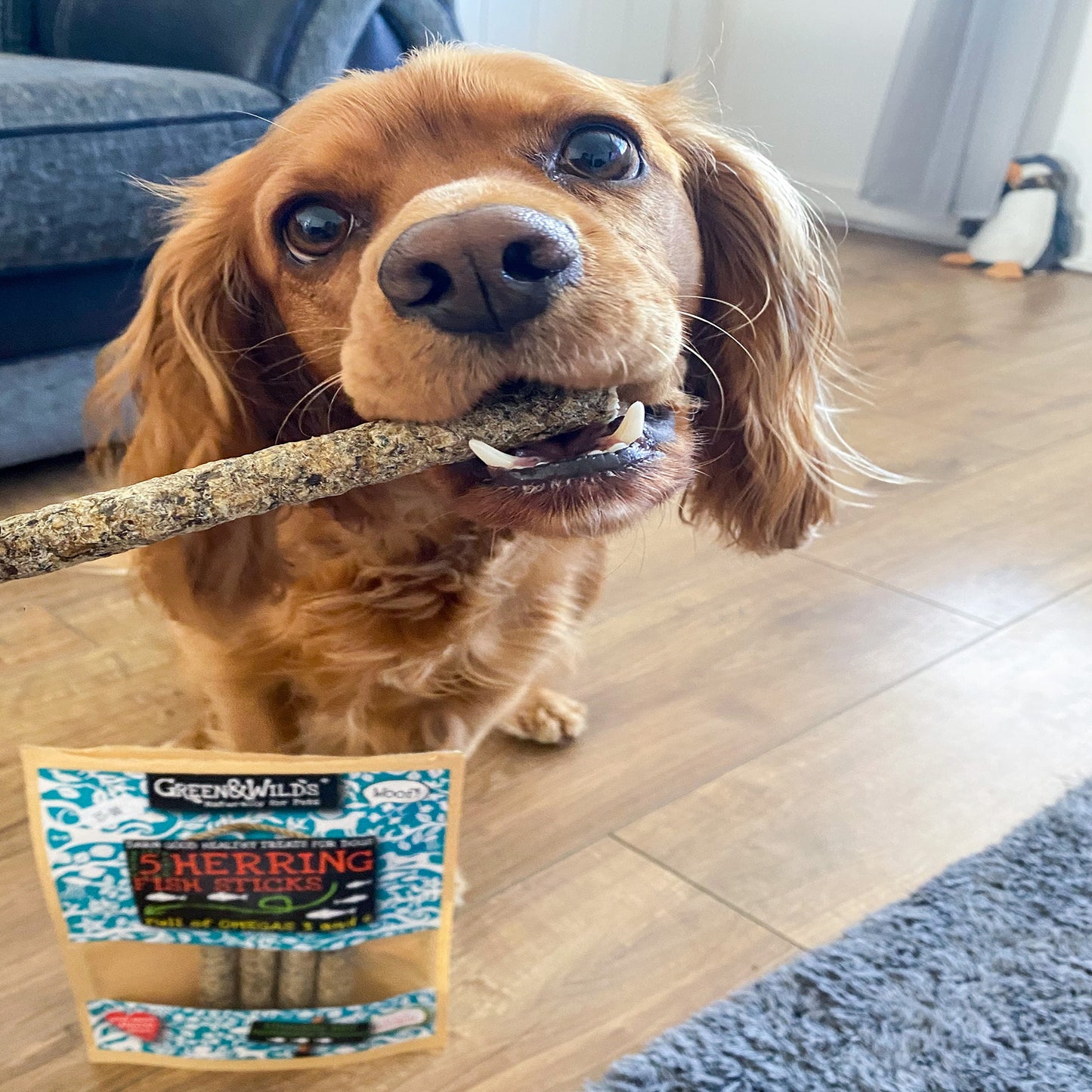 Dog with Herring Fish Sticks