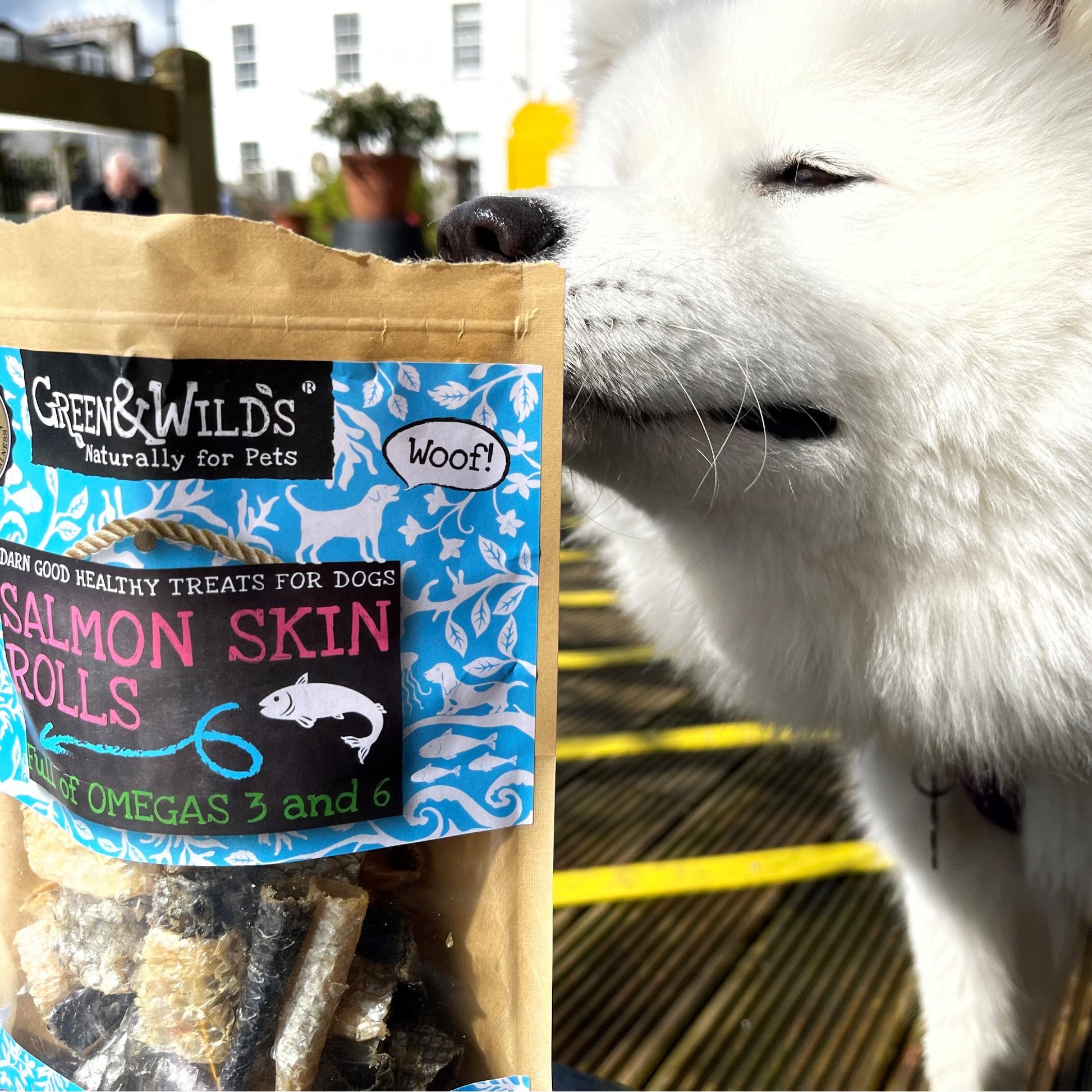 Dog with Salmon Skin Rolls lifestyle photo