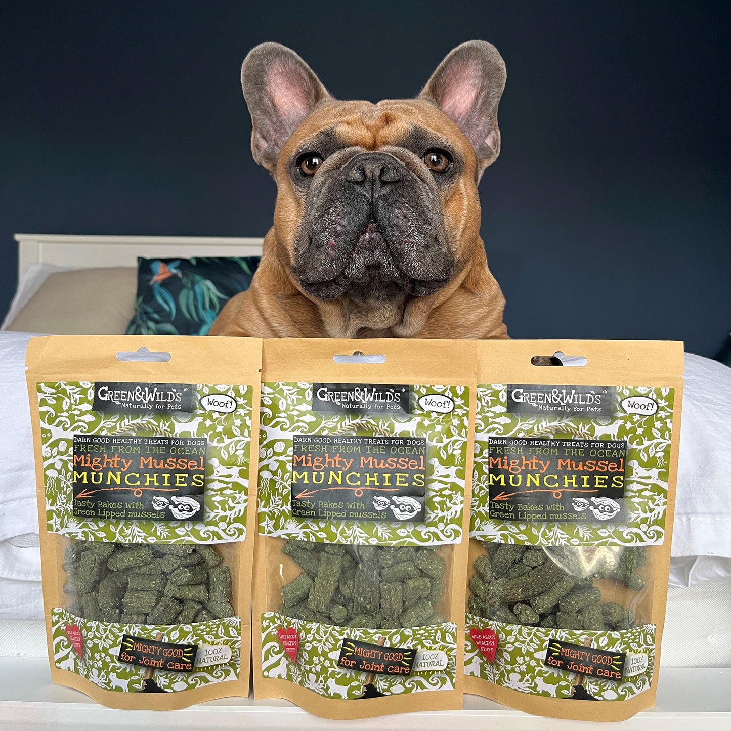 Dog enjoying Mighty Mussel Munchies treats