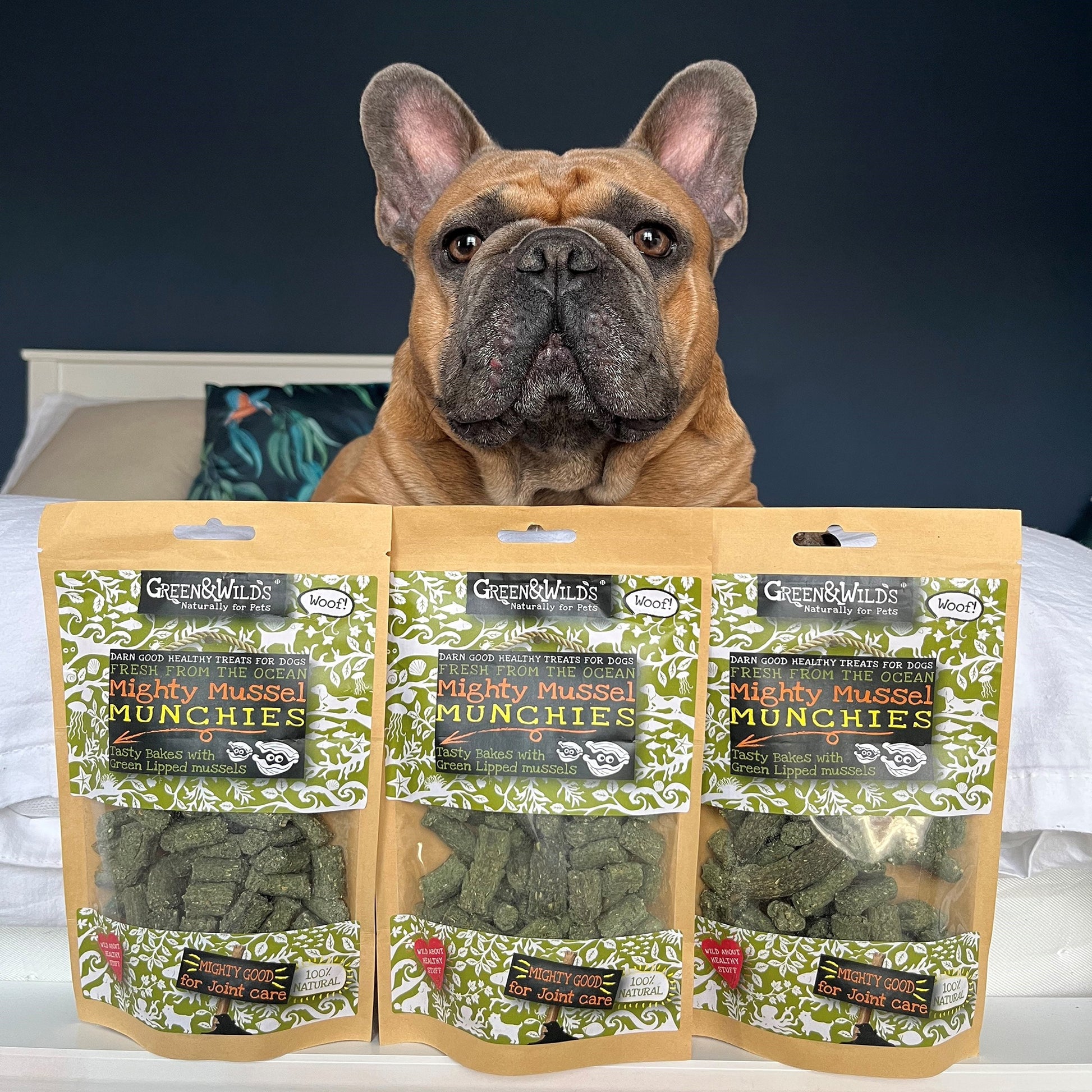 Dog enjoying Mighty Mussel Munchies treats