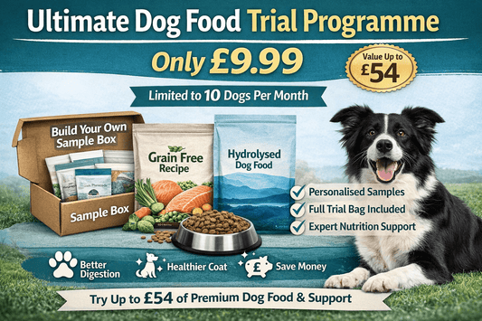 Ultimate Dog Food Trial Programme (Worth Up to £54) – Only £9.99