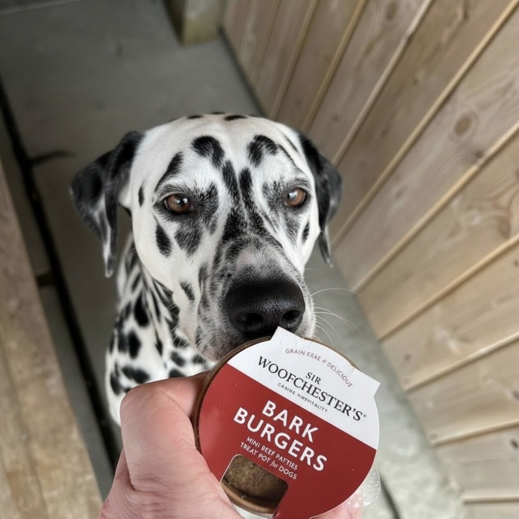 Sir Woofchester's Bark Burgers treat pot