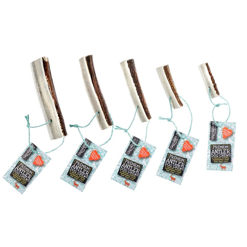 Easy Antler Chew Medium group shot