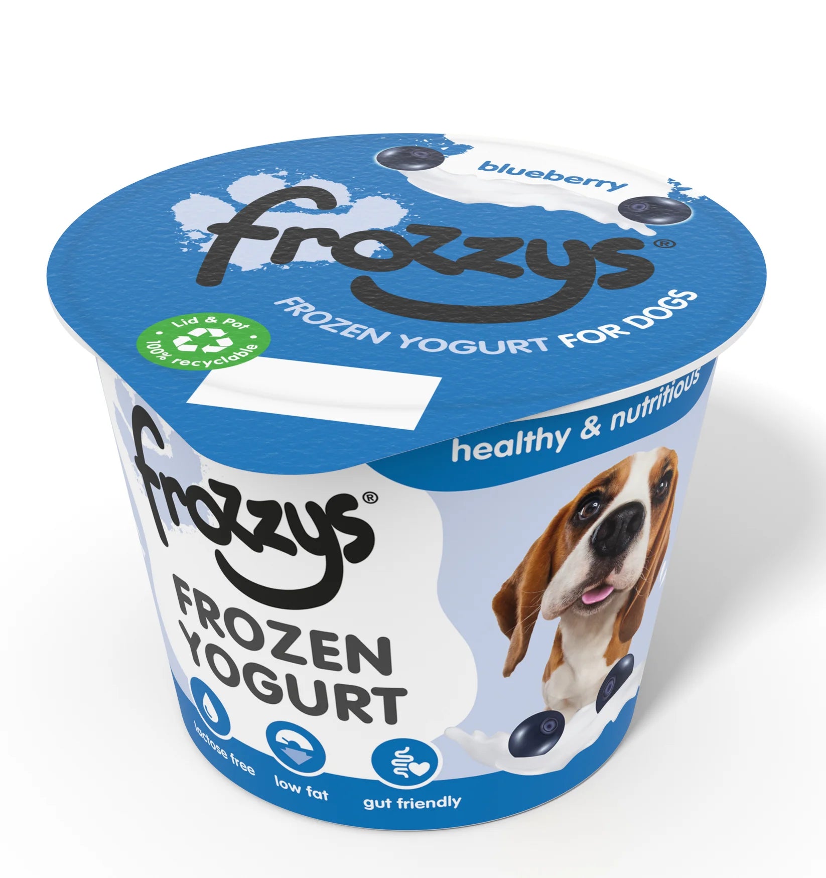 Frozzys Blueberry Frozen Yogurt for dogs 85g pot — healthy and nutritious dog treat