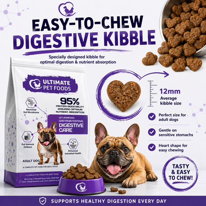 Easy-to-chew heart-shaped digestive care kibble — 12mm size, perfect for adult dogs, gentle on sensitive stomachs and specially designed for optimal digestion and nutrient absorption