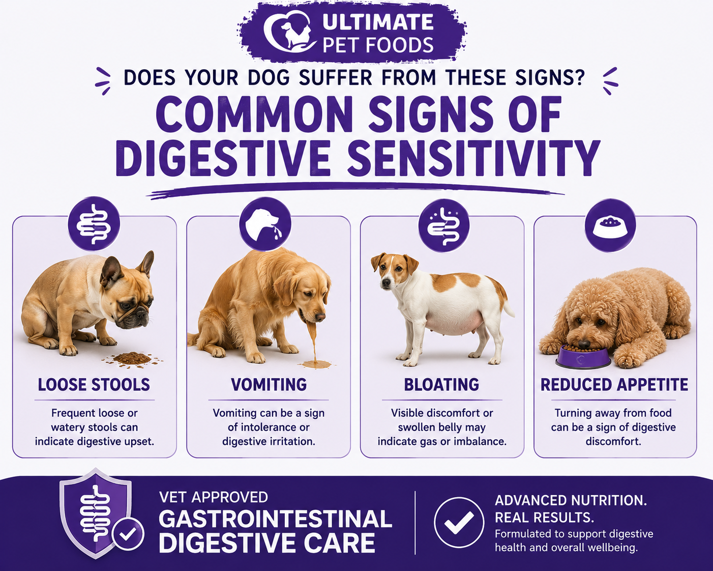 Common signs of digestive sensitivity in dogs: loose stools, vomiting, bloating and reduced appetite — all addressed by Ultimate Pet Foods Gastrointestinal Digestive Care