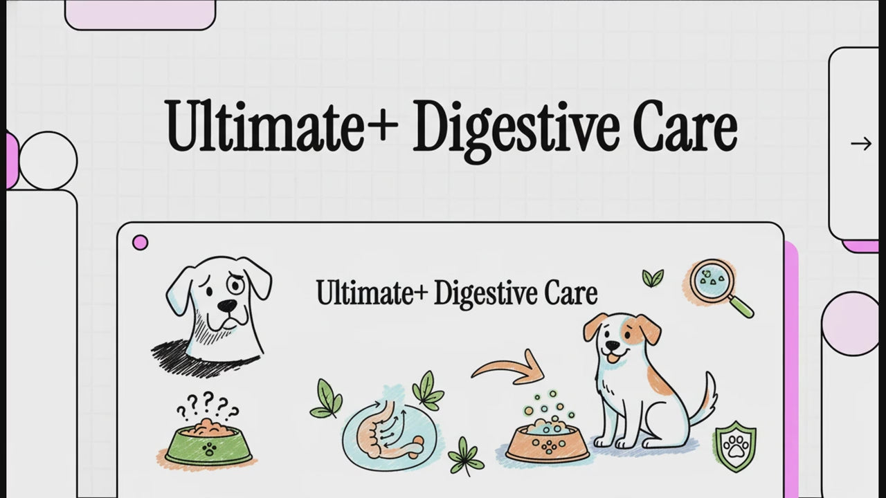 Load video: A video explaning the benefits of our ultimate plus digestive care dog food.