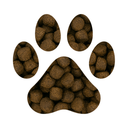 Large Puppy - Grain Free - Steamed Salmon & Potato with Vegetables GA