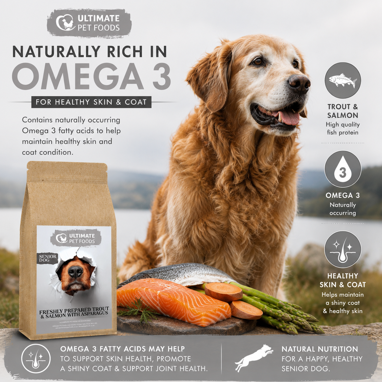 Senior dog food naturally rich in omega 3 from trout and salmon for healthy skin and coat